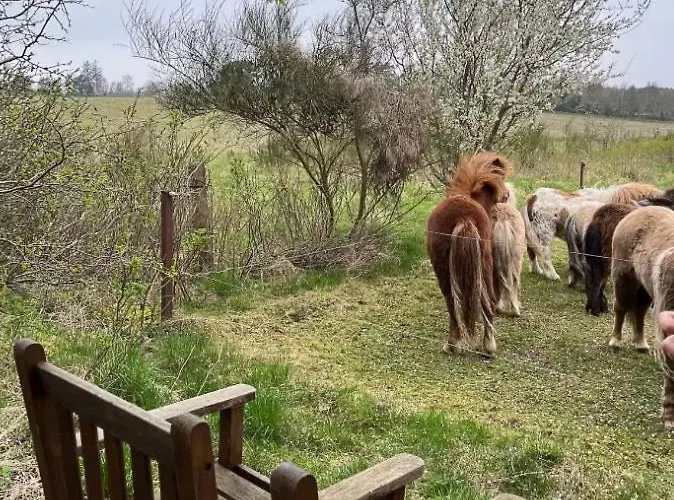 With View Of Mill And Church * Melby